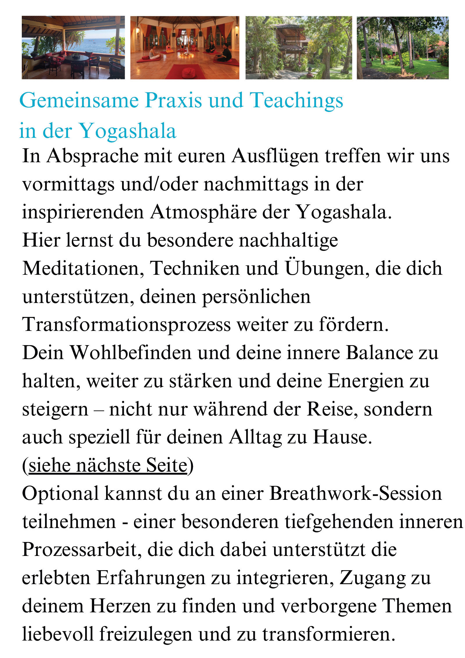 Jürgen Jud - Heilreise nach Bali